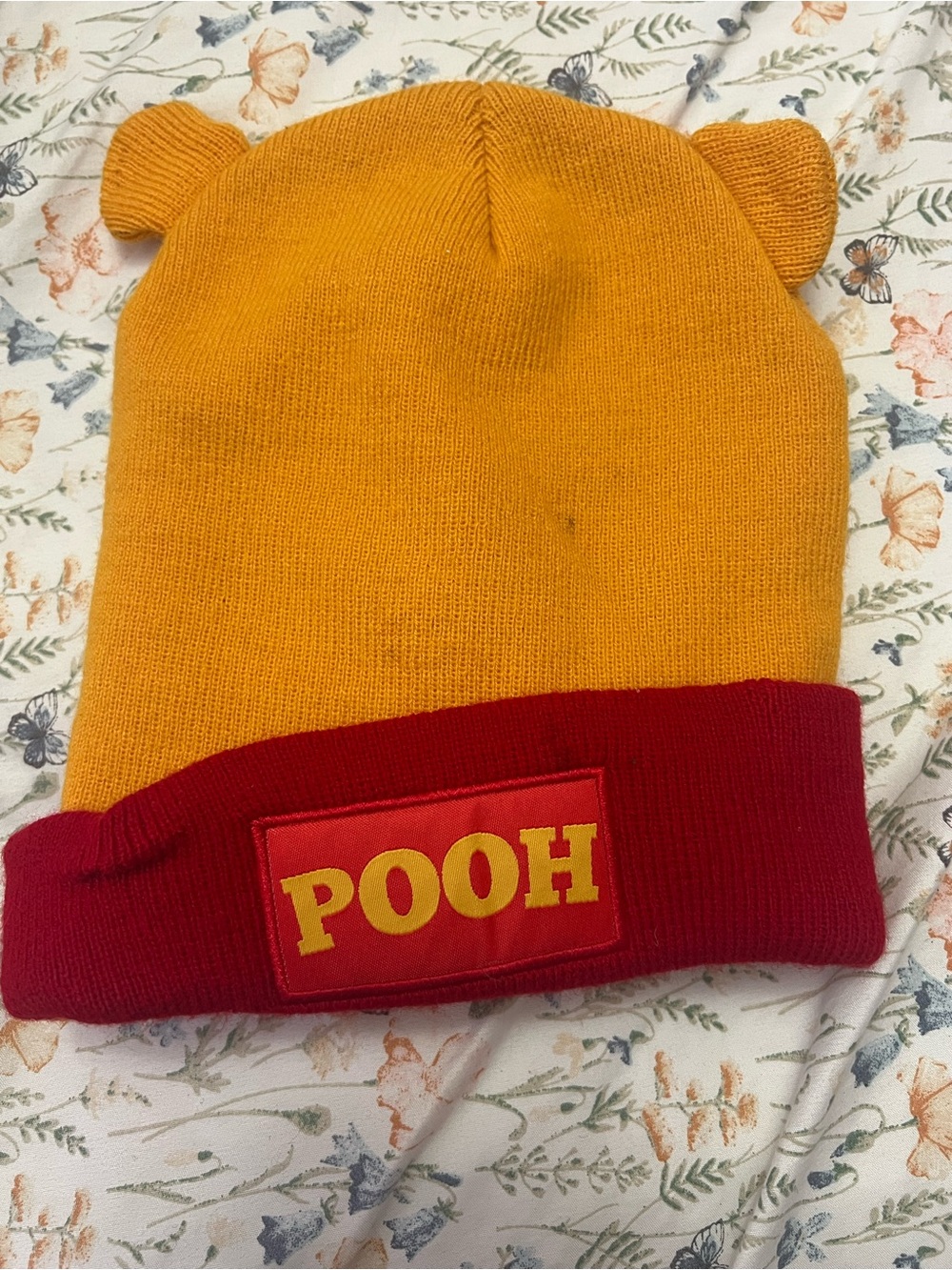 Box Lunch X Winnie the Pooh Beanie